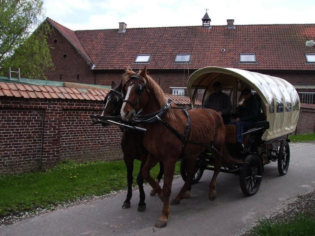 B&B In De Lossen Teugel Erpe-Mere Exterior photo