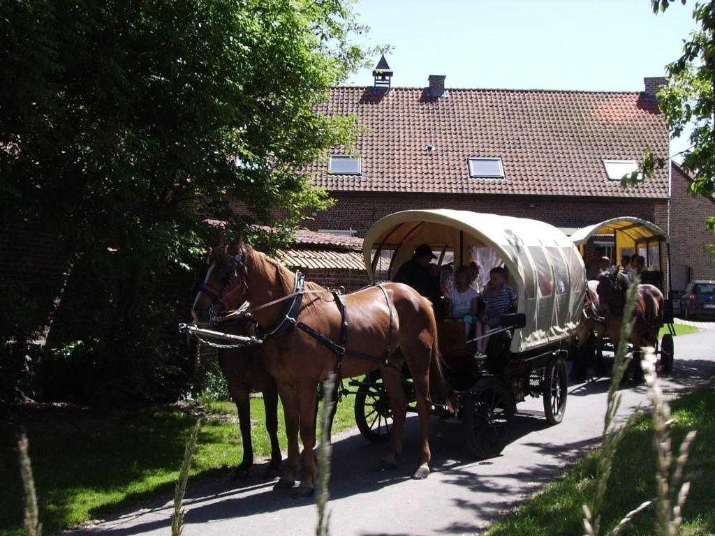 B&B In De Lossen Teugel Erpe-Mere Exterior photo