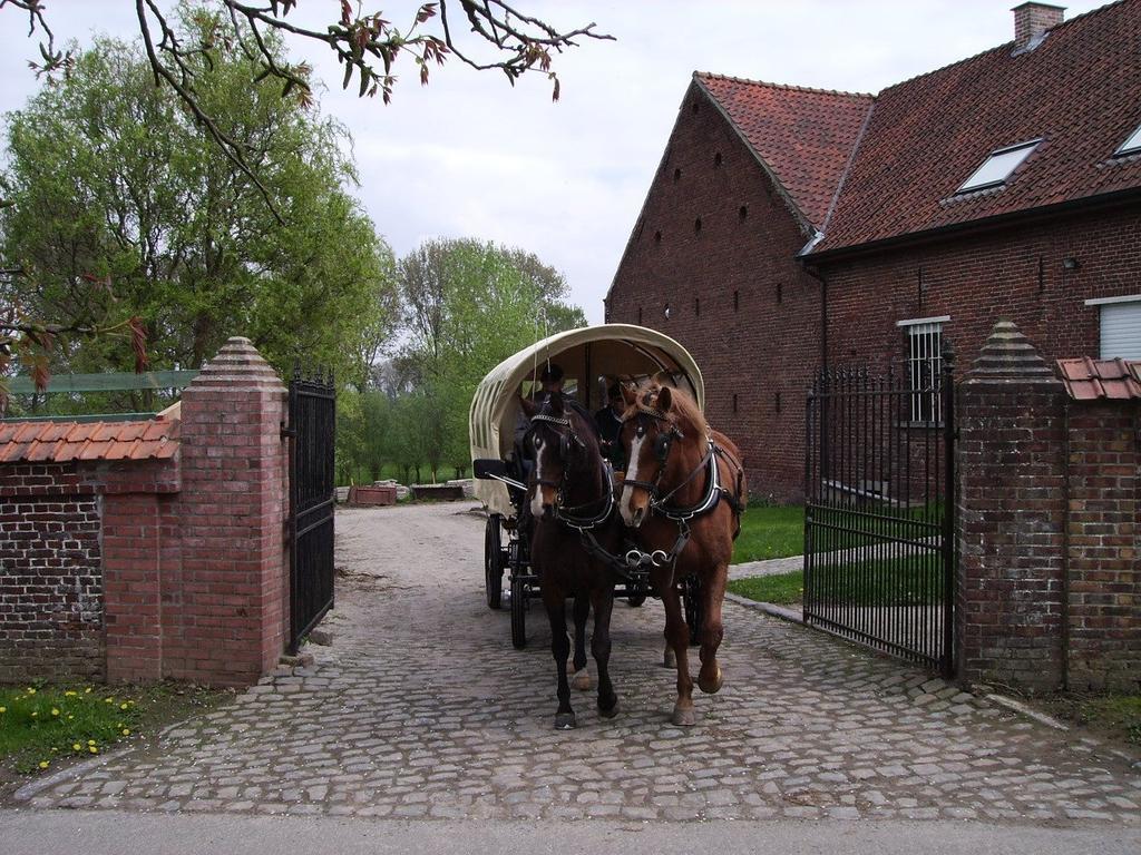 B&B In De Lossen Teugel Erpe-Mere Exterior photo